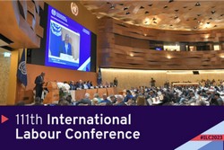26 02